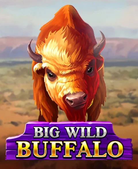 Play Big Wild Buffalo at A Polo Bet Casino
